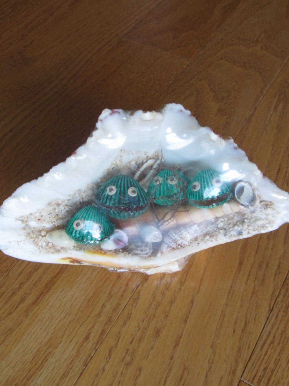 Seashell decor 17 cm x 11 cm